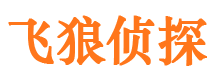 金水寻人公司